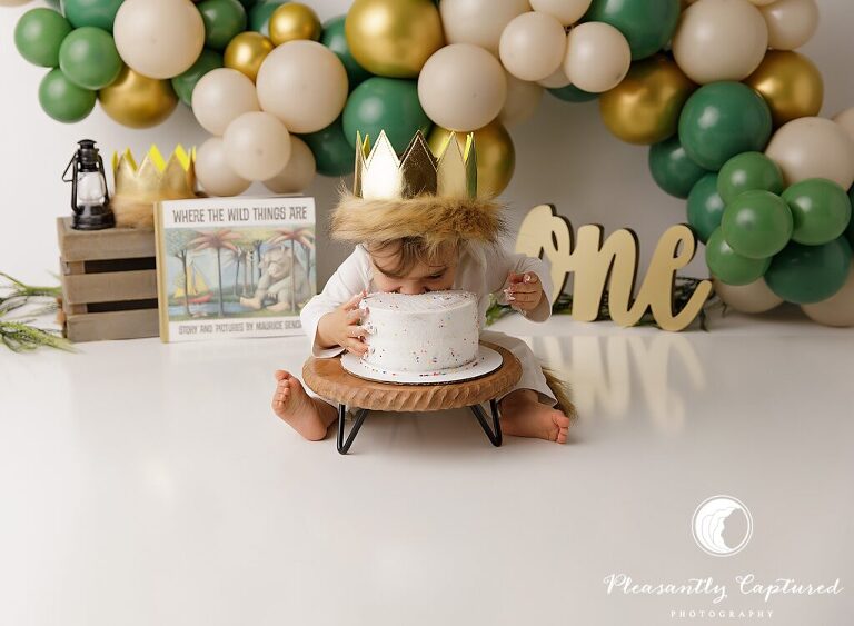 where the wild things are Wild One Cake Smash | Sneads Ferry NC