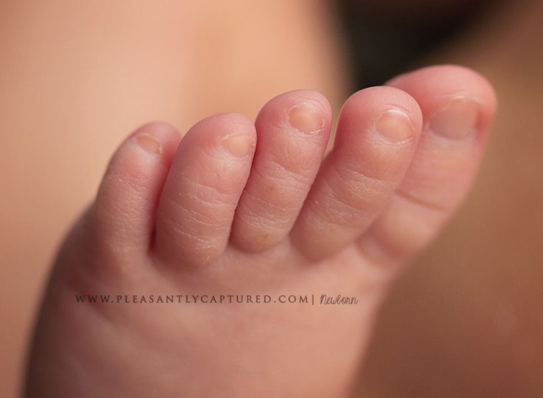 Close up image of sweet baby toes - Newborn photographer in Jacksonville NC