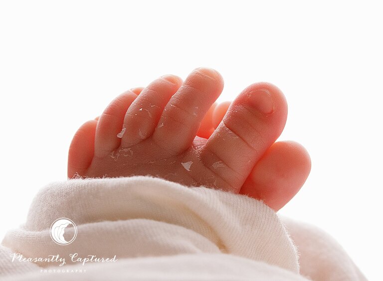 Newborn toes - nc nb photography