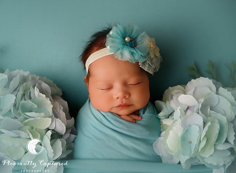 Newborn baby girl wearing blue and surrounded by blue flowers - Newborn Photography