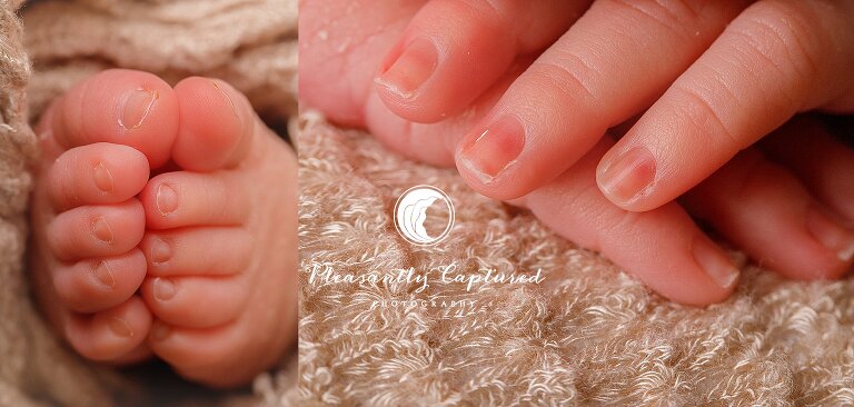 closeup of newborn baby girl fingers and toes - Sneads Ferry Newborn Photography | New Family of 3
