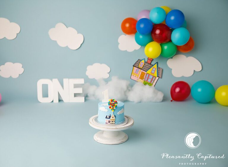 Up themed cake with balloons on Up Themed Cake Smash backdrop| Birthday Photography Jacksonville NC