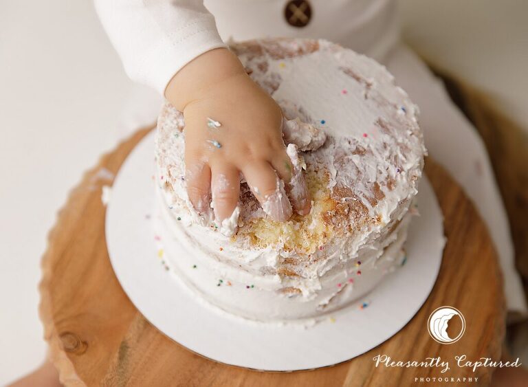 where the wild things are Wild One Cake Smash | Sneads Ferry NC