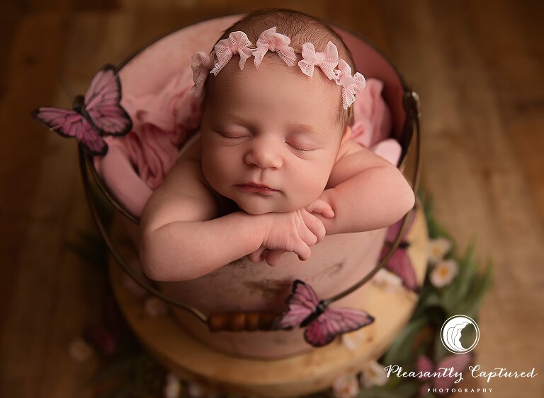 Newborn girl in pink bucket surrounded by spring florals and butterflies during styled studio session in Jacksonville, NC