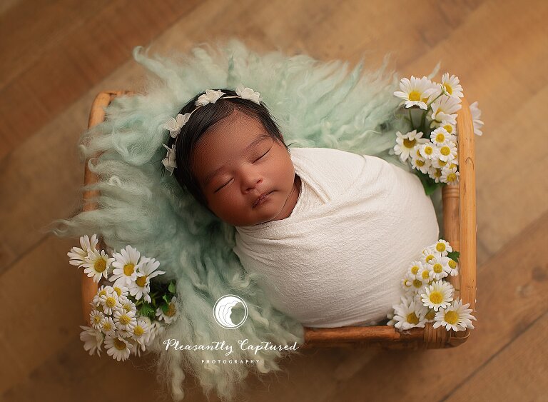 Swaddled newborn sleeping in a wooden basket with soft green textures and white florals during a studio mini newborn session in Jacksonville, NC.