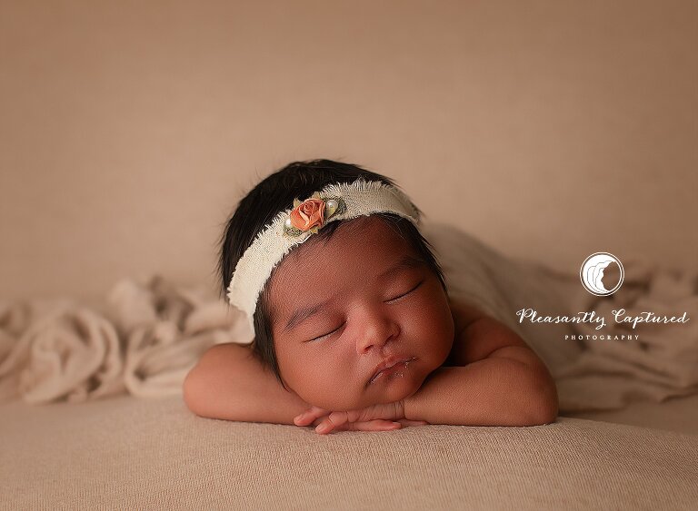 Newborn resting on hands in a classic table pose on a neutral backdrop during an intentional studio mini newborn session.