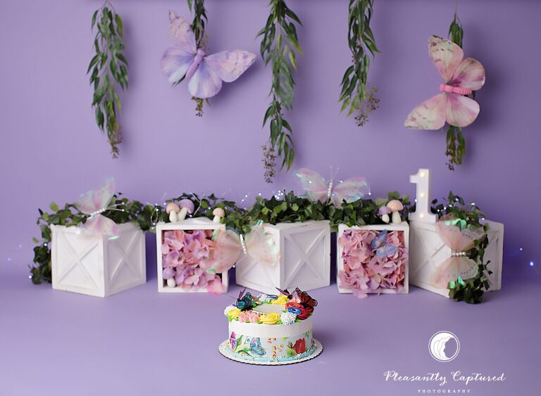 Colorful butterfly cake and frosting details from a baby girl’s first birthday cake smash in Jacksonville, NC.