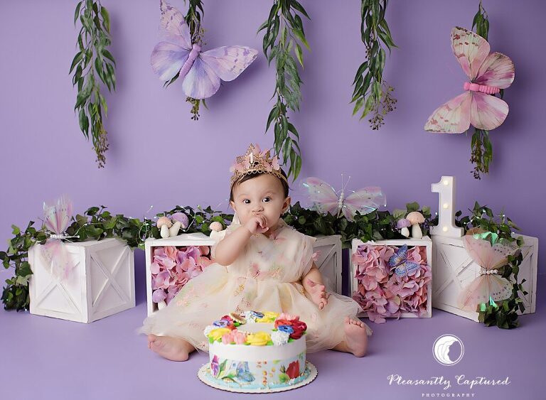 Custom butterfly cake smash session for a baby girl by Pleasantly Captured Photography in Jacksonville, NC.